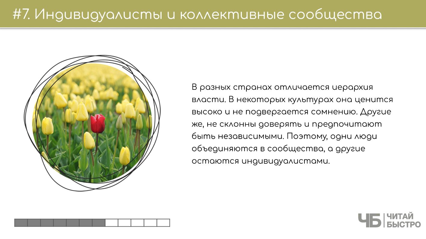 На этом слайде изображен тезис о индивидуалистах и коллективных сообществах и иллюстрация поля с тюльпанами.