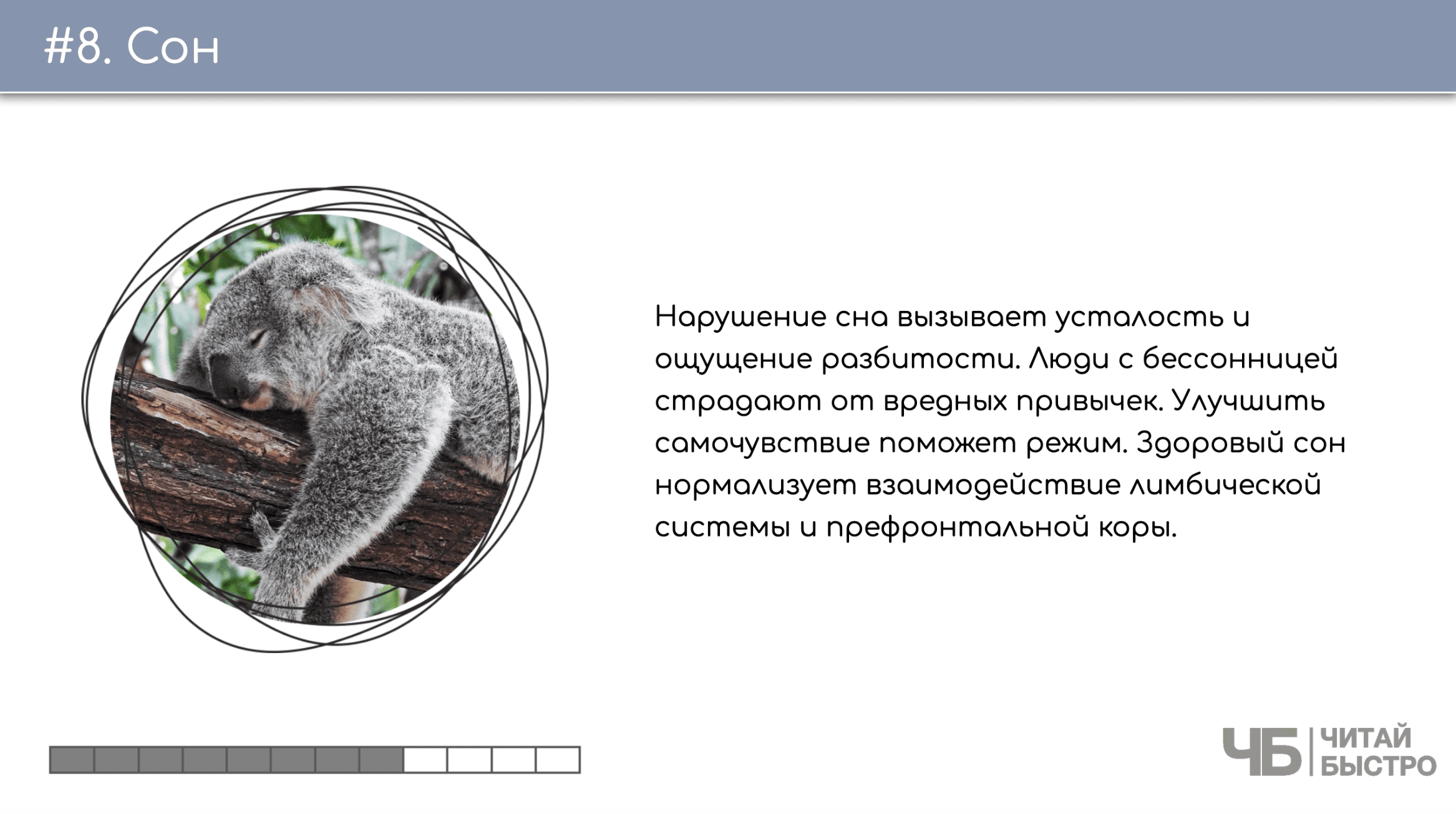На этом слайде изображен тезис о сне и иллюстрация ленивца.