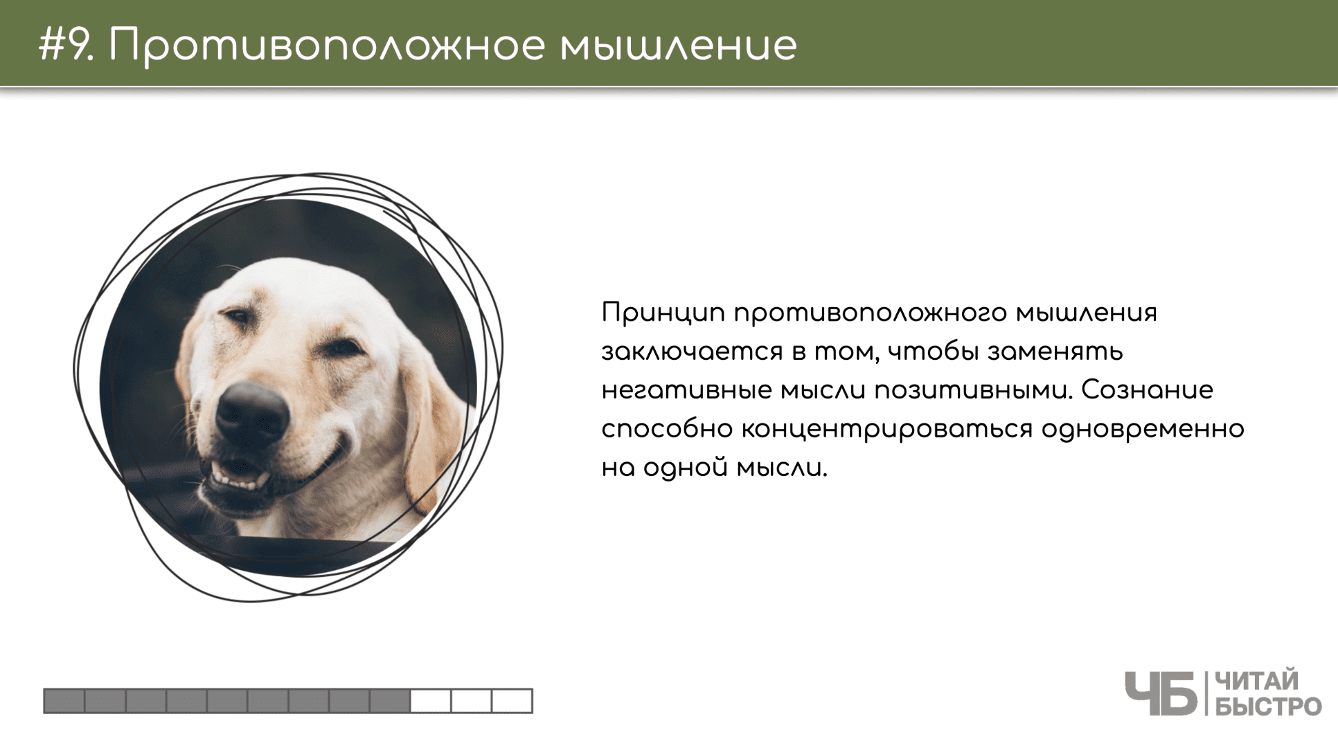 На этом слайде изображен тезис о противоположном мышлении и иллюстрация собаки.
